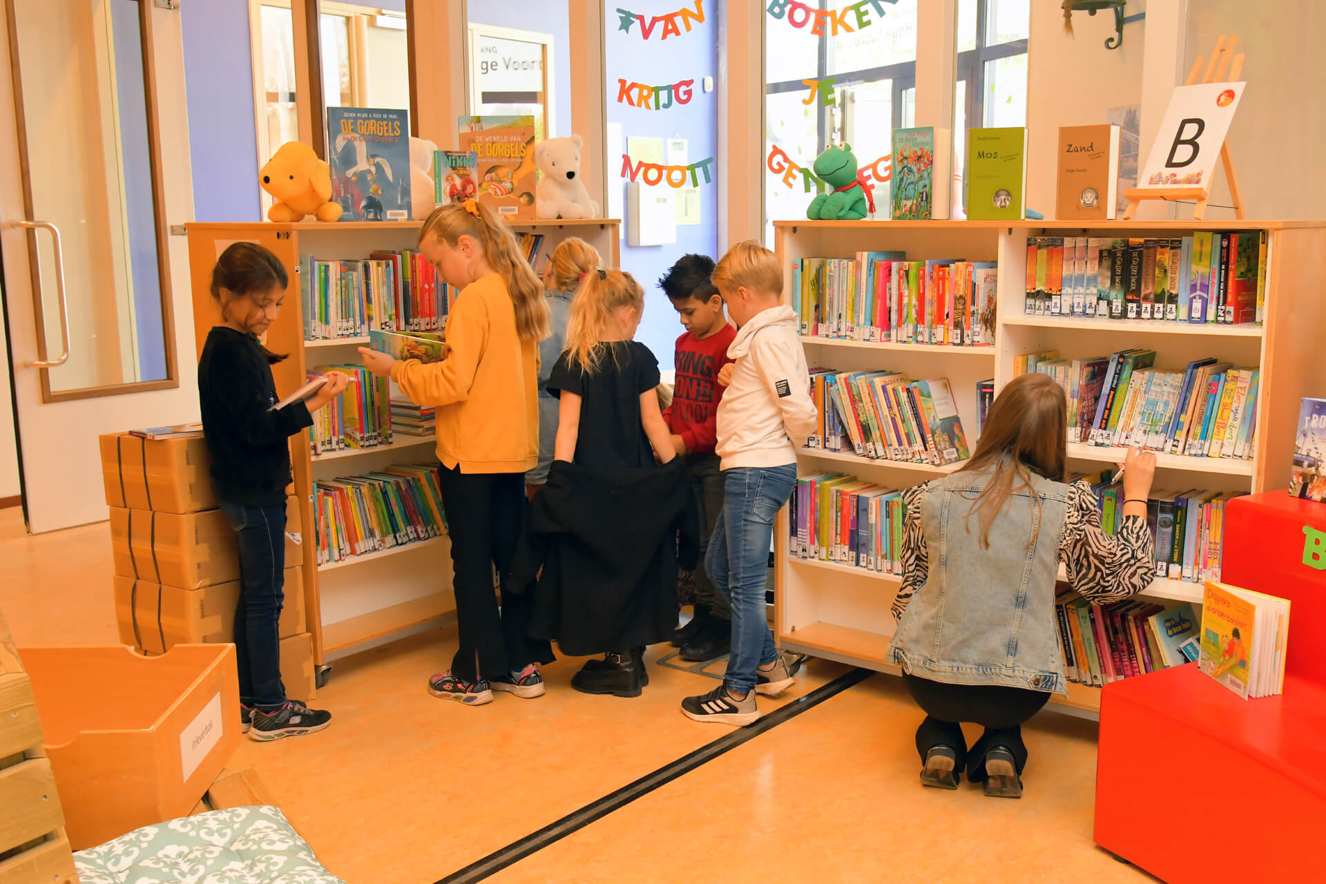 Organisatie van ons onderwijs-bibliotheek